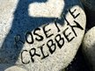 Rosette Cribben