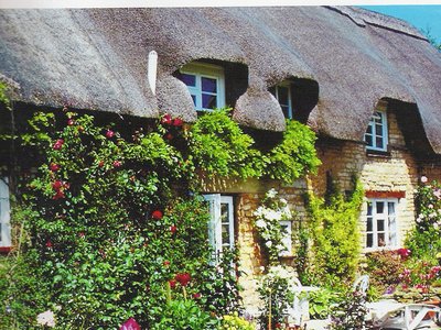 "Poems from Butterscotch Cottage" by Dawn M. Nevills