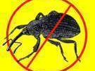 What we say.