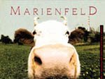 MARIENFELD photo