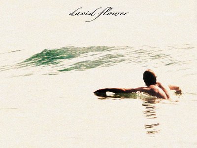 Happy Gone Missing. https://itunes.apple.com/au/artist/david-flower/id153907048