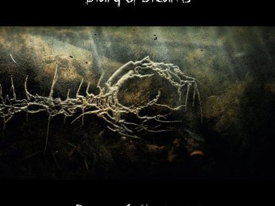 Diary of Dreams photo