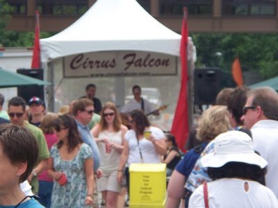 Cirrus Falcon photo