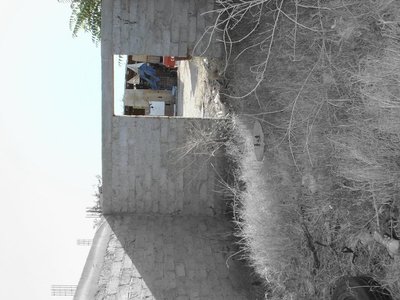 Muekala photo