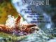 harangue 2 CD