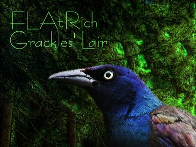 Grackles' Lair (2012)