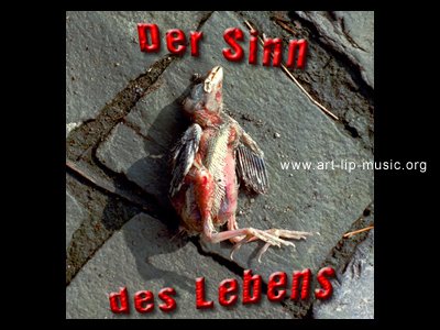 der sinn des lebens