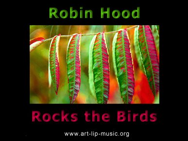 robin hood rocks the birds