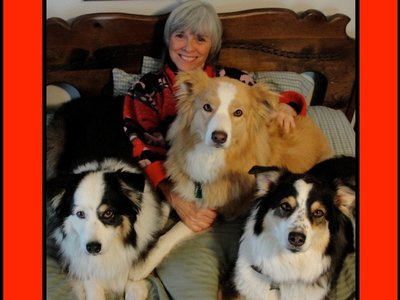 Barb with a pile of dogs on the bed. Bonzer, Cooey & Bizzo
