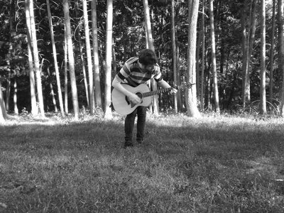All The Trees Are Hers photo