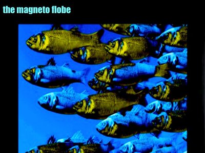 The Magneto Flobe photo