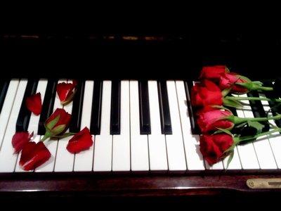 Photo Copyright Â© 2011 by Nadia Cripps