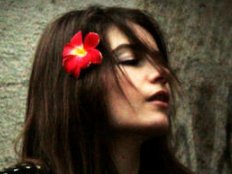 IRE photo