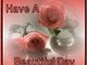 Have A Beautiful Day