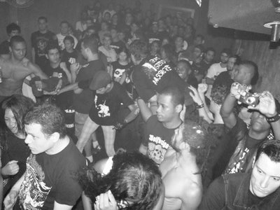 WHIPSTRIKER photo