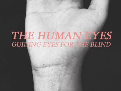 The Human Eyes photo