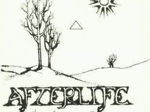 AFTERLIFE - The Frozen Sun