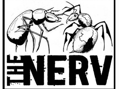 THE NERV photo