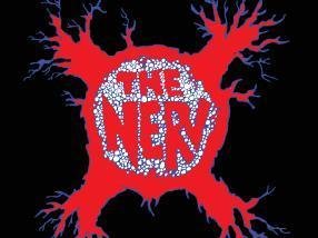 THE NERV photo