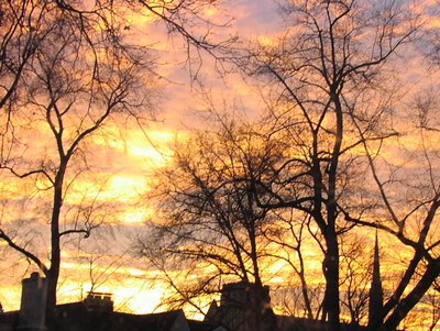 Burningsky