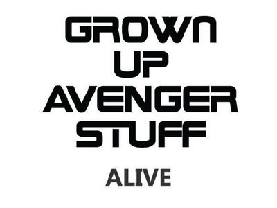 Grown Up Avenger Stuff photo
