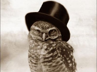 Uncle Owl photo