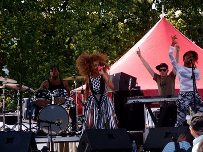 2012 Afro Punk Festival