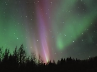Good Night Aurora