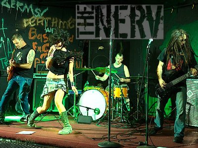THE NERV photo