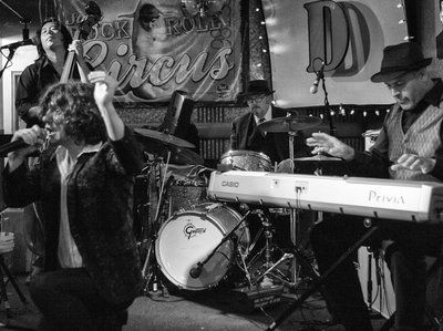 Velveteen Lotharios photo