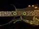 Leopard guitar strap