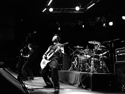 DIMTRIBE photo