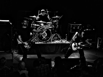 DIMTRIBE photo