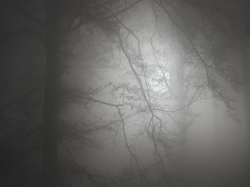 "Angelic Whispers" by Brenin's Light. Image courtesy of Dan/Freedigitalphotos.net.