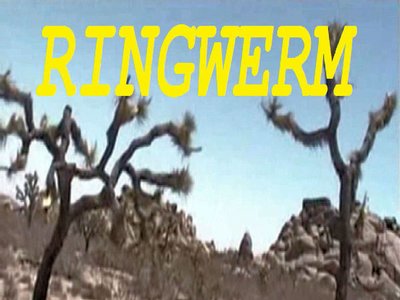 Desert Bug-Out Beats Volume #91 2012 Front Cover