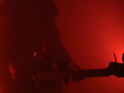 Steve - Bass