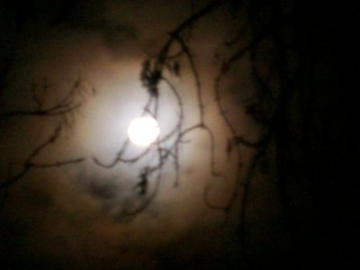 Haunt photo