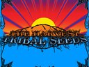 The Garden by Tribal Seeds | ReverbNation