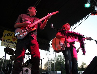 Live Chicago Music Fest