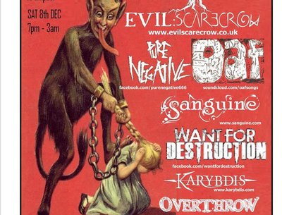 THE NEXT SHOW - THE RETURN TO NAMBUCCA!