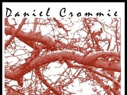 Daniel's 1991 instrumental album.