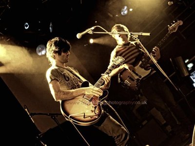Skinny Rhino photo