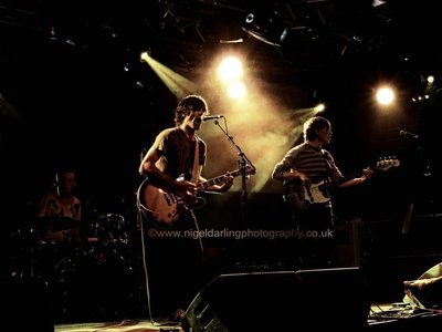 Skinny Rhino photo