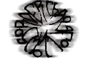 Chaos Follows Order photo