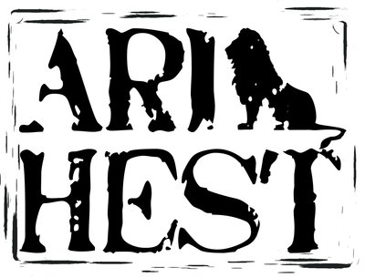 Ari Hest photo