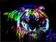 colorful Tiger!!!
