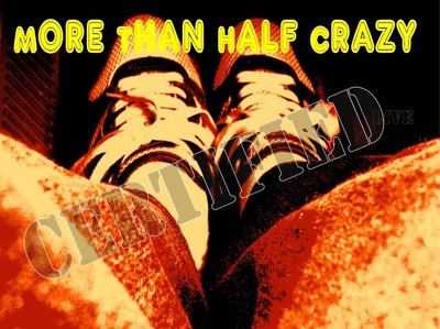 More Than Half Crazy cover