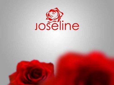 cover joseline