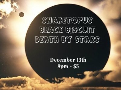 Black Biscuit photo