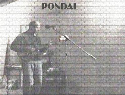 Luis Pondal photo